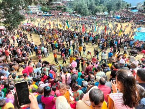 बैतडीमा महाअष्टमी मेलाः ६ सय बढीको पशुबली दिइयो,  निङ्गलाशैनीमा मात्रै ५ सयबढी पशुको बली